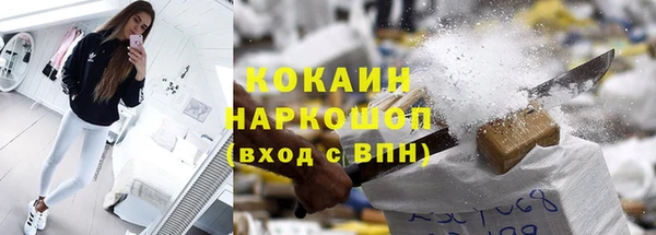 стафф Заводоуковск