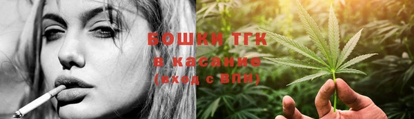 стафф Заводоуковск