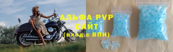 стафф Заводоуковск