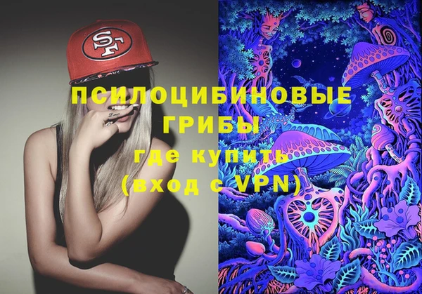 стафф Заводоуковск