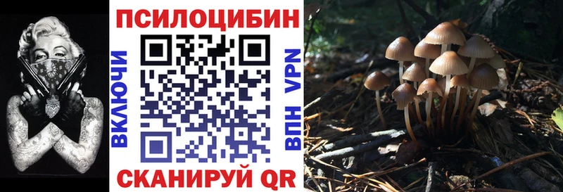 Псилоцибиновые грибы GOLDEN TEACHER  Сасово 